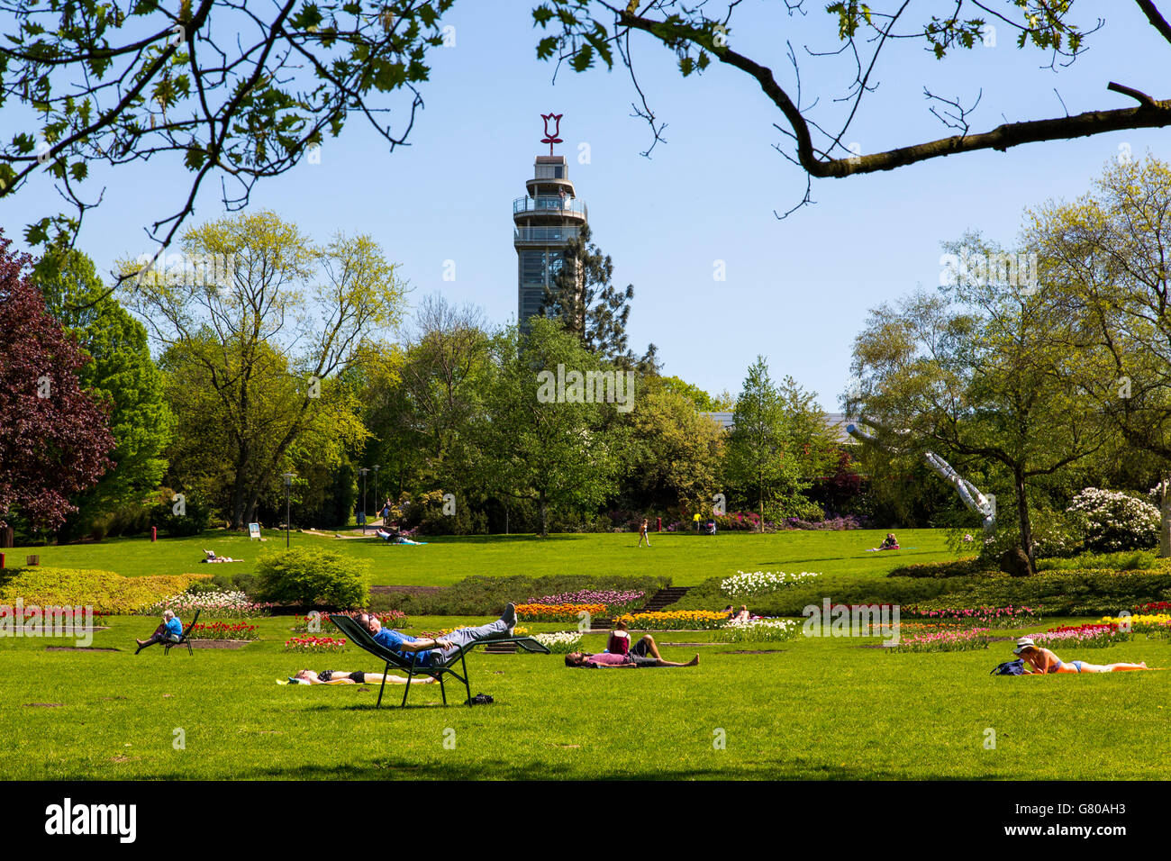 Le parc Grugapark Essen en Allemagne, un parc municipal dans le centre-ville, avec beaucoup de plantes, les jardins, les animaux et l'activité de loisirs Banque D'Images