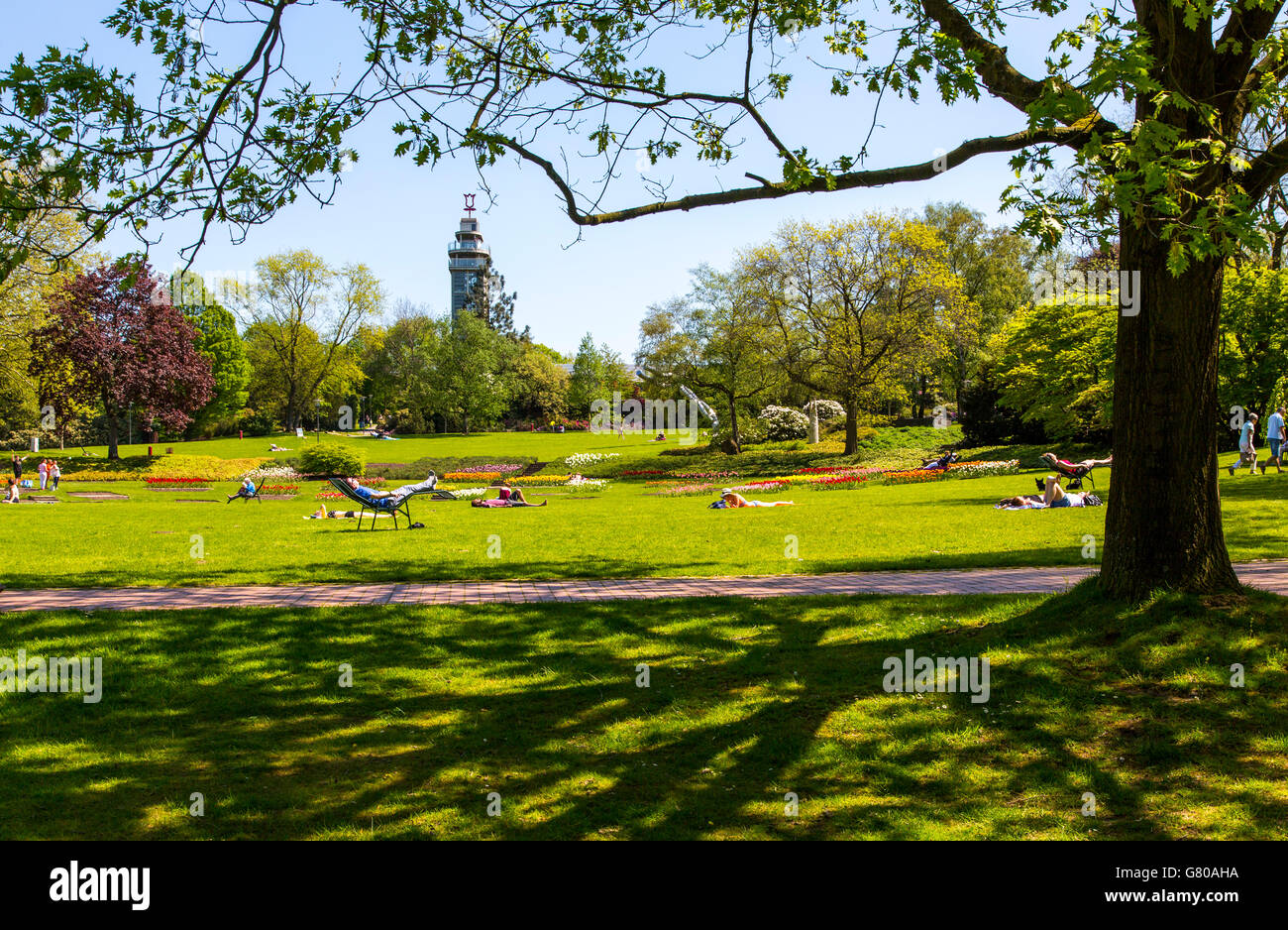 Le parc Grugapark Essen en Allemagne, un parc municipal dans le centre-ville, avec beaucoup de plantes, les jardins, les animaux et l'activité de loisirs Banque D'Images