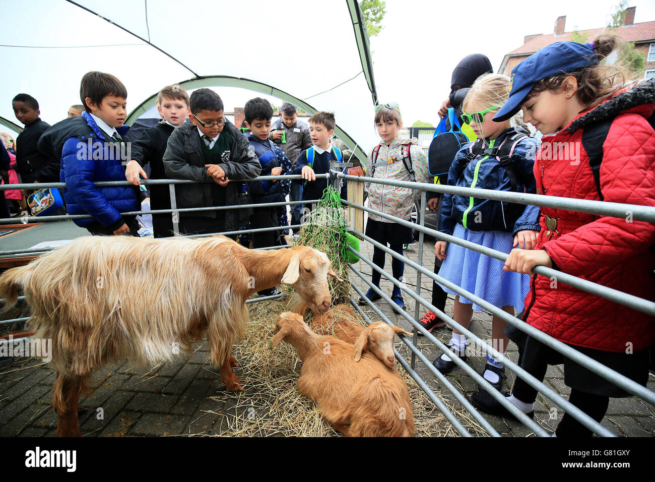 Enfants à la ferme de la ville de Vauxhall près de l'entrée des médias Le jour de l'école à l'Oval de Kia Banque D'Images