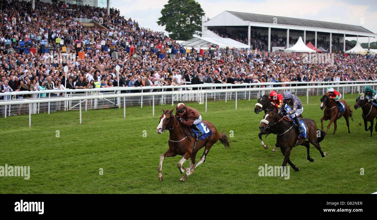 Les courses de chevaux - Hippodrome de York Banque D'Images
