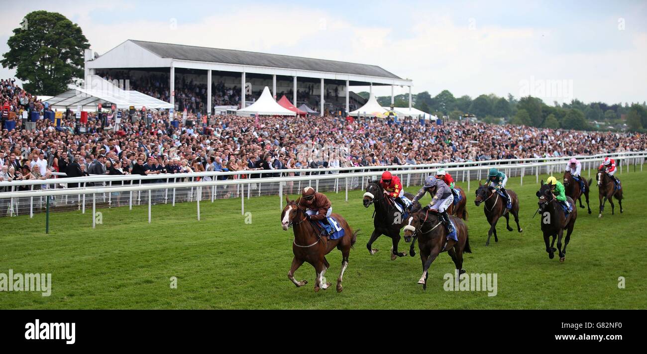 Les courses de chevaux - Hippodrome de York Banque D'Images