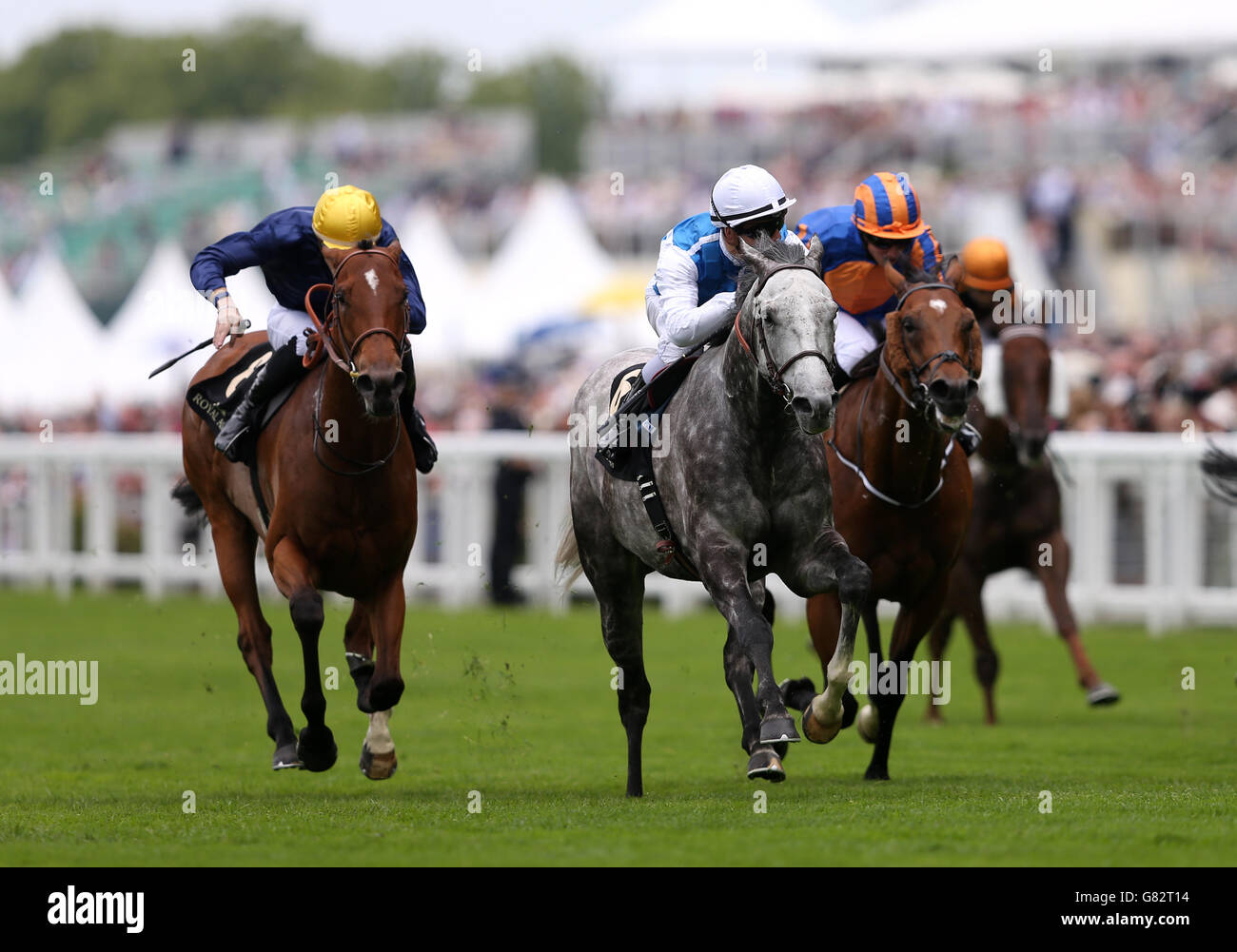Solow est monté par le jockey Maxime Guyon (au centre) sur le chemin de gagner les piquets de la reine Anne lors de la première journée de la rencontre royale d'Ascot de 2015 à l'hippodrome d'Ascot, Berkshire. Banque D'Images