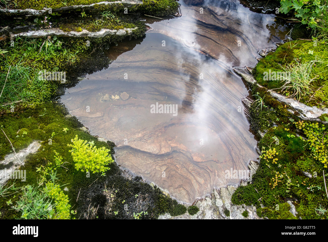 La formation de la roche calcaire dans une flaque d'eau pur de la montagne dans le Parc Naturel des Alpes Apuanes, Toscane, Italie Banque D'Images