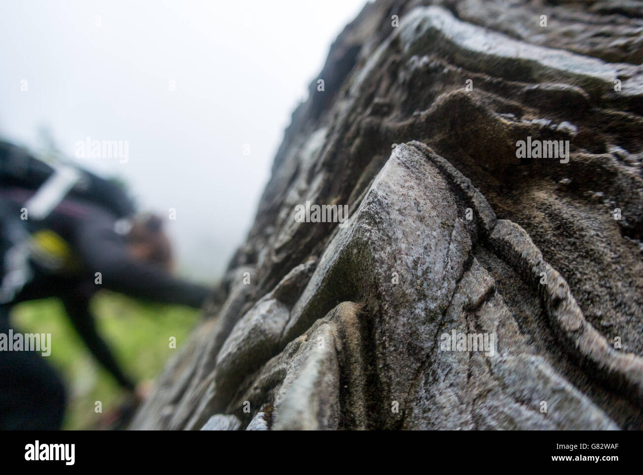Fille d'escalade sur roche calcaire dans les Alpes Apuanes, Toscane, Italie Banque D'Images