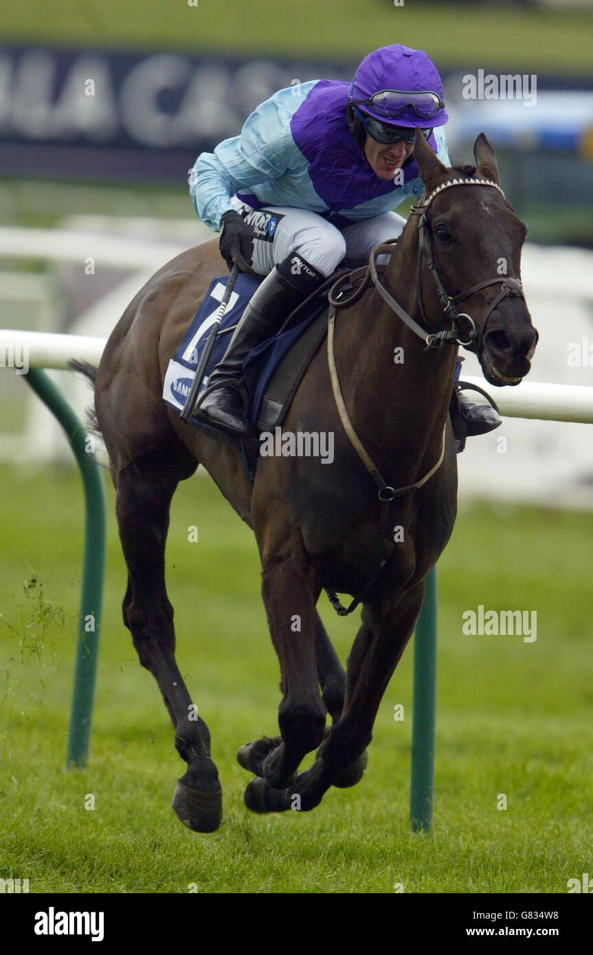 Courses hippiques - Scottish Champion Hurdle - Ayr Racecourse.Gengis et le jockey Tony McCoy remporte la Samsung Electronics, Scottish Champion Hangdle Race Banque D'Images