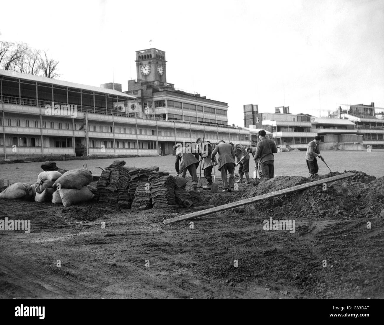 Les ouvriers se concentrent alors qu'ils posent 70,000 nouvelles tourelles lors de modifications importantes à l'hippodrome Royal Ascot, Berkshire. Ici, ils travaillent sur le site de pelouses étendues devant les tribunes. Banque D'Images