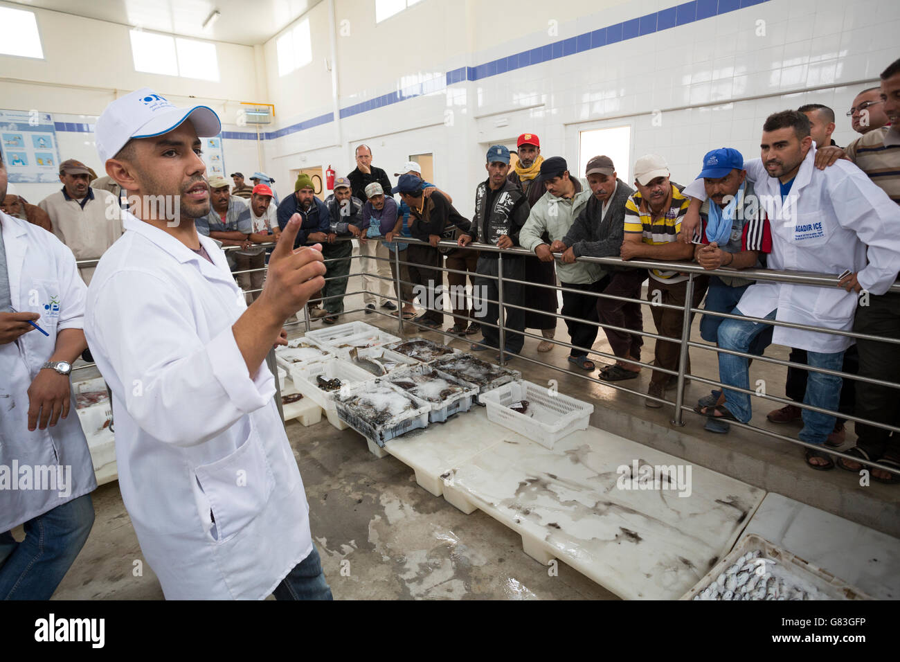 Achat et vente des travailleurs des fruits de mer et poissons aux enchères à Tifnit, près d'Agadir, au Maroc. Banque D'Images