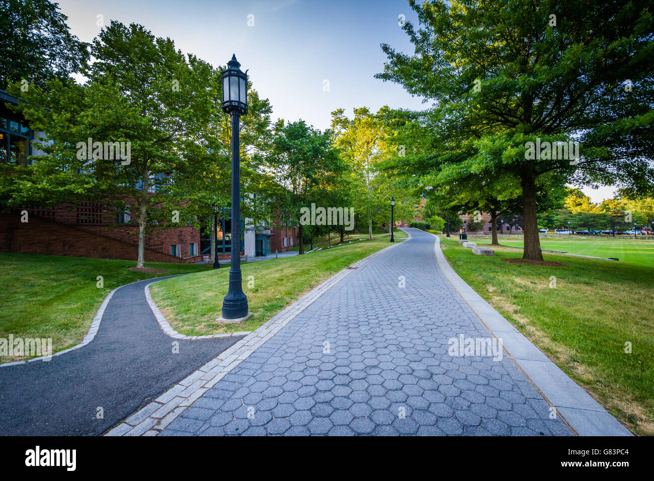 Les trottoirs à Trinity College, à Hartford, Connecticut. Banque D'Images