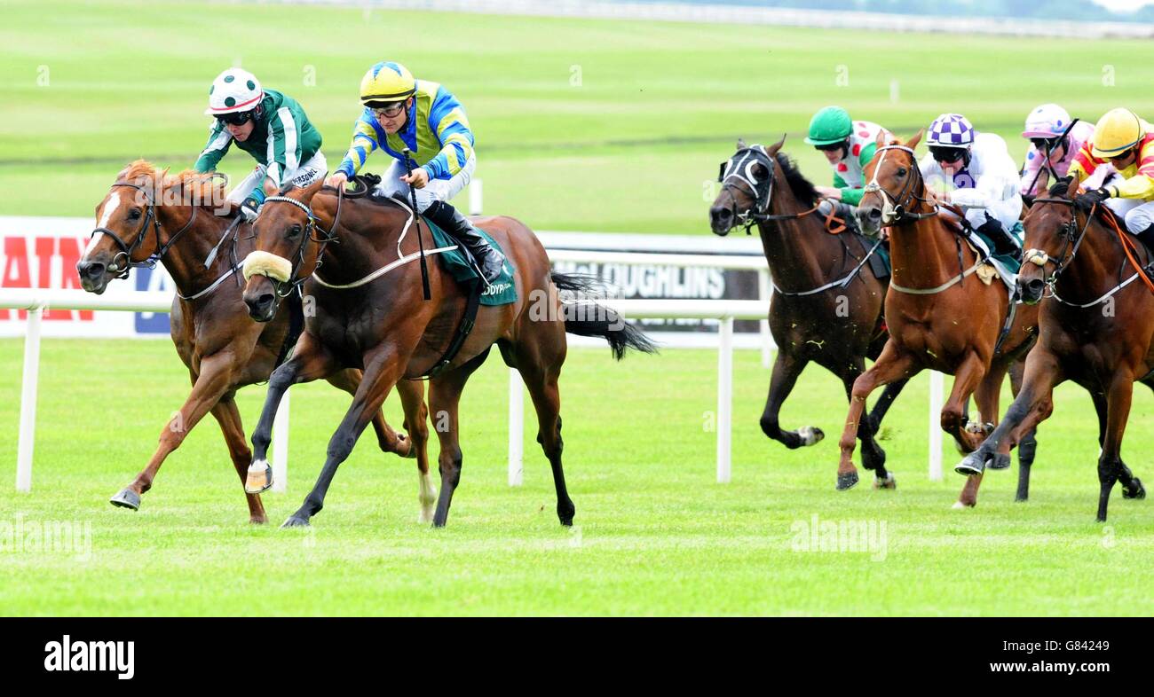 Jockey shane foley at curragh racecourse Banque de photographies et d ...