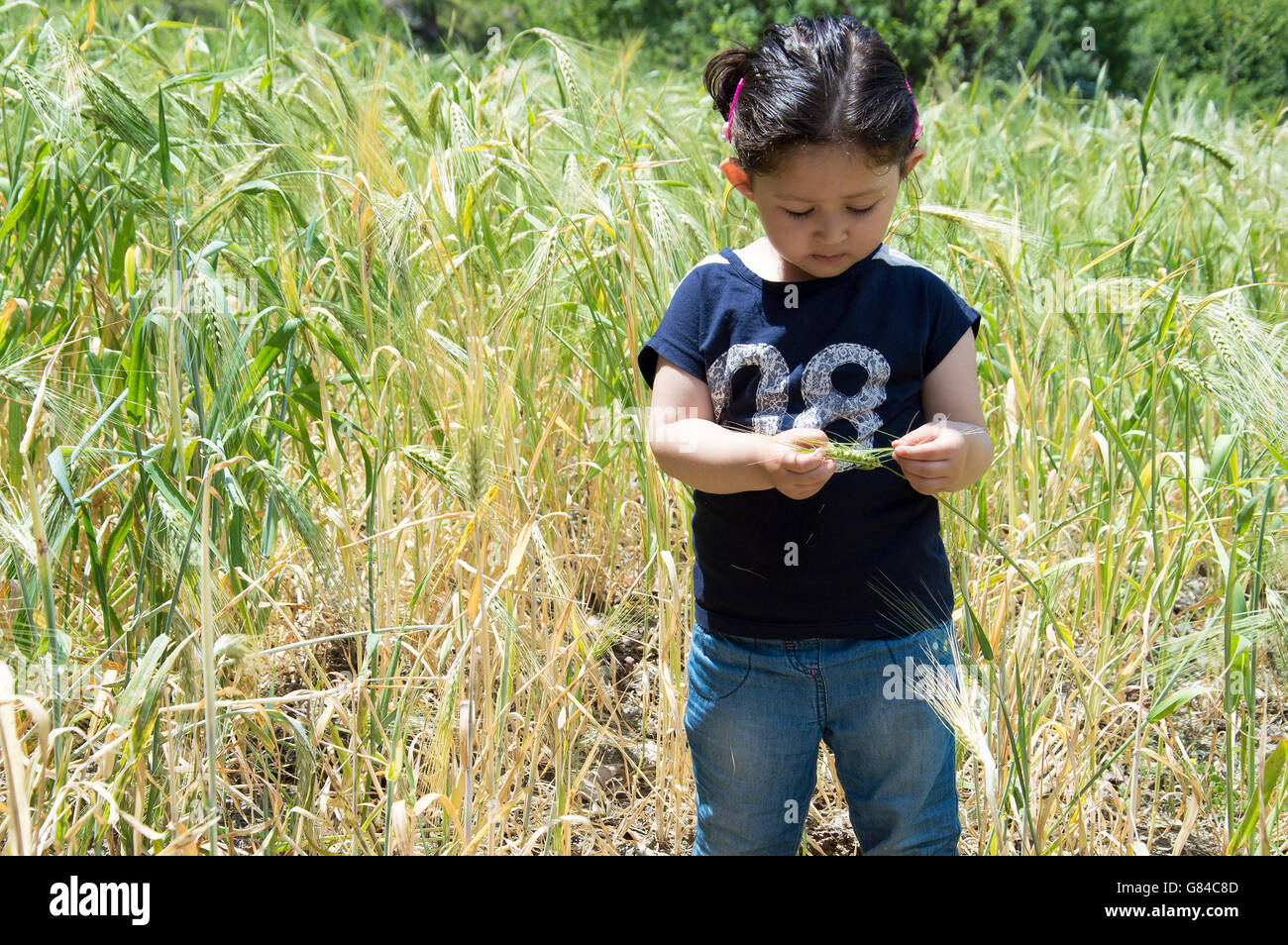 Petite fille dans une ferme du blé. Banque D'Images