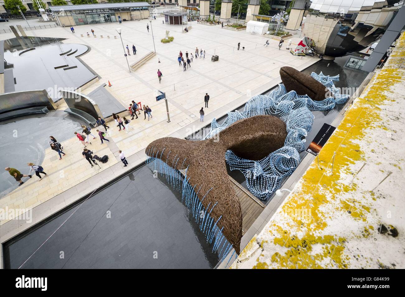Une sculpture de deux baleines grandeur nature, faite de saule Somerset et de 70,000 bouteilles en plastique à cycle ascendant, qui a été dévoilée sur la place du Millénaire de Bristol pour marquer le statut de la ville en tant que première capitale verte européenne du Royaume-Uni. Banque D'Images