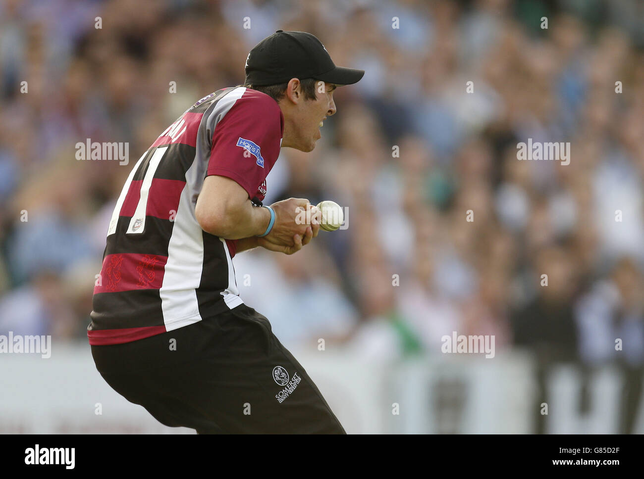 Cricket - NatWest t20 Blast - Southern Division - Surrey / Somerset - The Kia Oval.Jamie Overton, de Somerset, laisse tomber une prise Banque D'Images