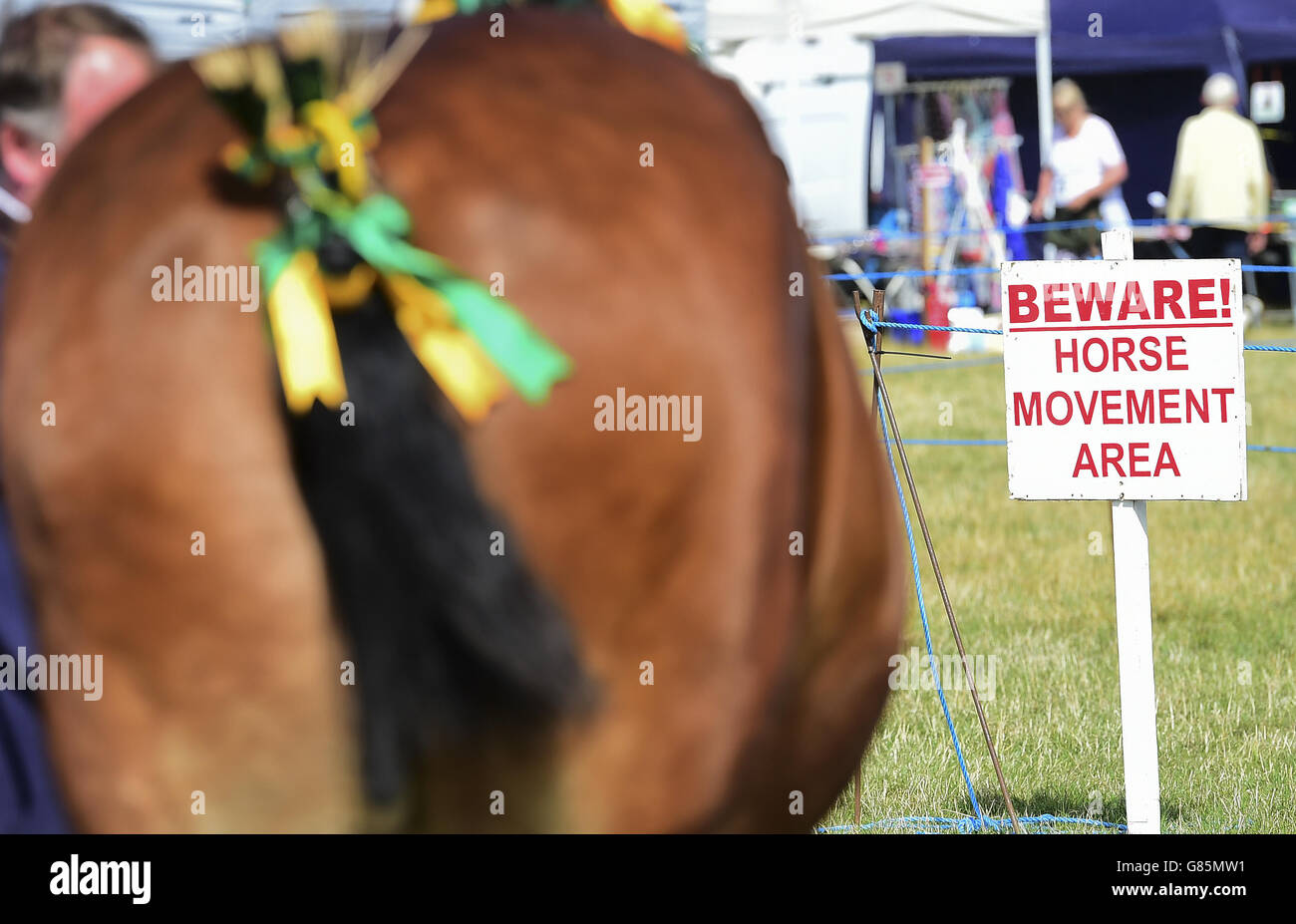 Old Croft Empress au spectacle Essex Heavy Horse au champ de foire d'Orsett, Essex. APPUYEZ SUR ASSOCIATION photo. Date de la photo: Dimanche 2 août 2015. Le crédit photo devrait se lire comme suit : Ian West/PA Wire Banque D'Images