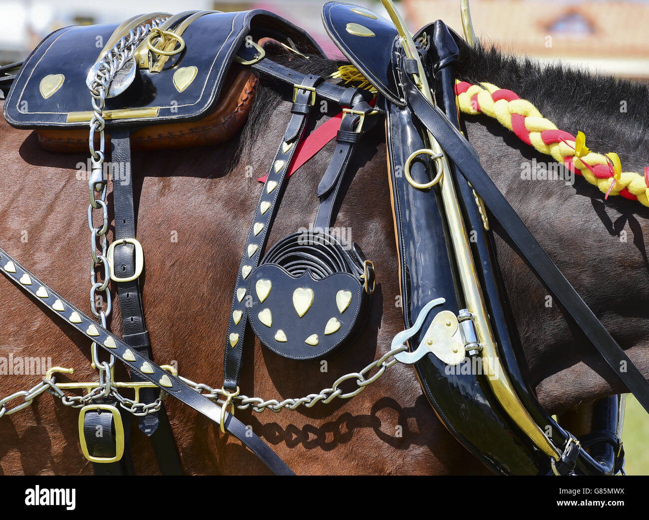 Elmbrook Jacks's son Prince of Easton participe à la classe de harnais décoré au spectacle Essex Heavy Horse & Country au terrain d'exposition d'Orsett, Essex. APPUYEZ SUR ASSOCIATION photo. Date de la photo: Dimanche 2 août 2015. Le crédit photo devrait se lire comme suit : Ian West/PA Wire Banque D'Images