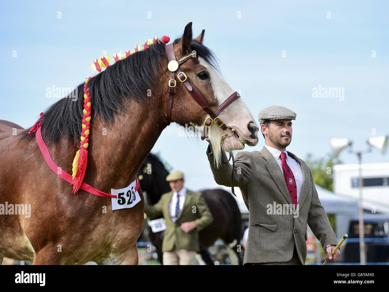 Le spectacle Essex Heavy Horse & Country au terrain d'exposition d'Orsett, Essex. APPUYEZ SUR ASSOCIATION photo. Date de la photo: Dimanche 2 août 2015. Le crédit photo devrait se lire comme suit : Ian West/PA Wire Banque D'Images