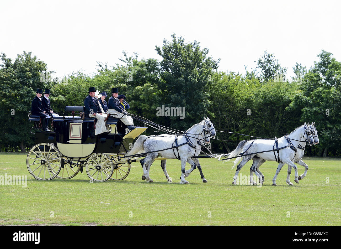 Cours de marathon d'entraînement au spectacle Essex Heavy Horse & Country au terrain d'exposition d'Orsett, Essex.APPUYEZ SUR ASSOCIATION photo.Date de la photo: Dimanche 2 août 2015.Le crédit photo devrait se lire comme suit : Ian West/PA Wire Banque D'Images