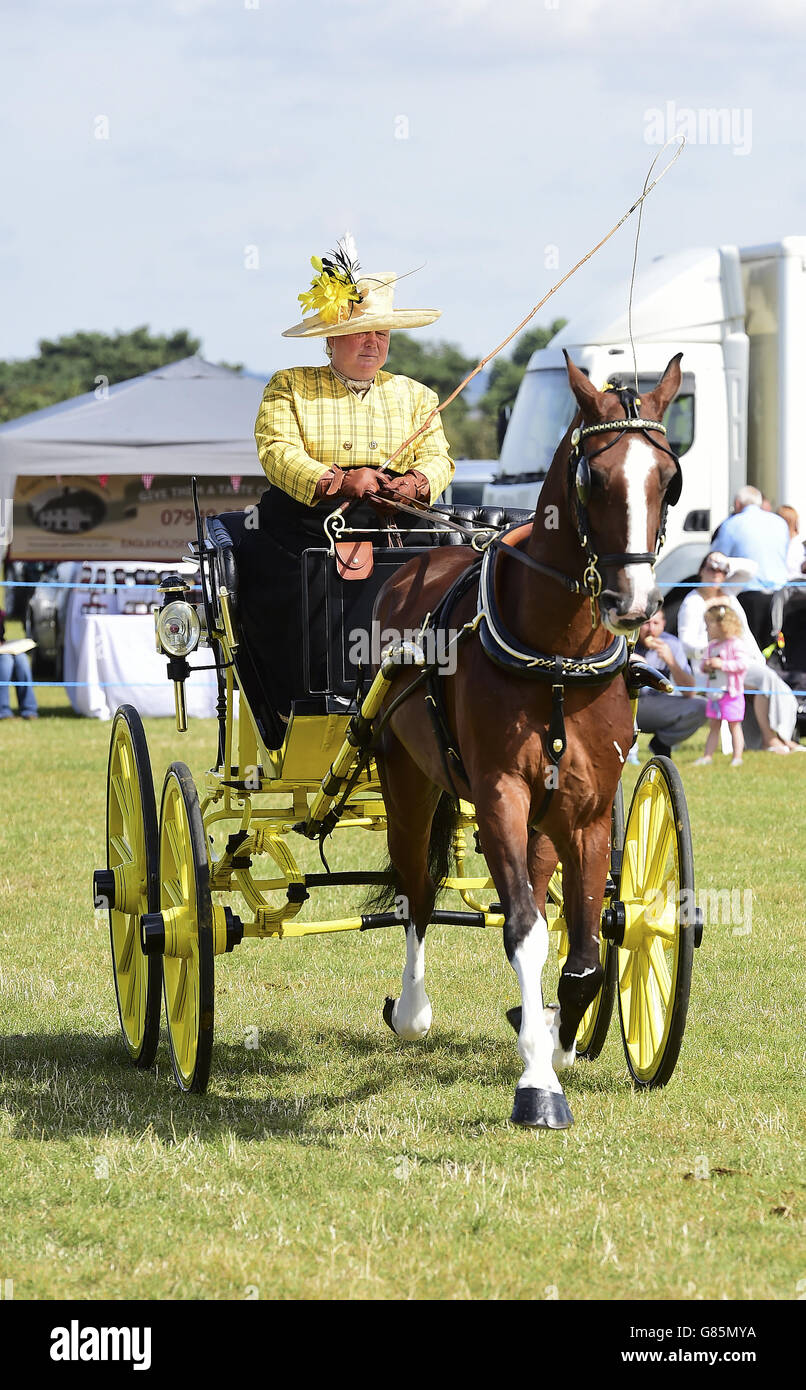 Le spectacle Essex Heavy Horse & Country au terrain d'exposition d'Orsett, Essex. APPUYEZ SUR ASSOCIATION photo. Date de la photo: Dimanche 2 août 2015. Le crédit photo devrait se lire comme suit : Ian West/PA Wire Banque D'Images