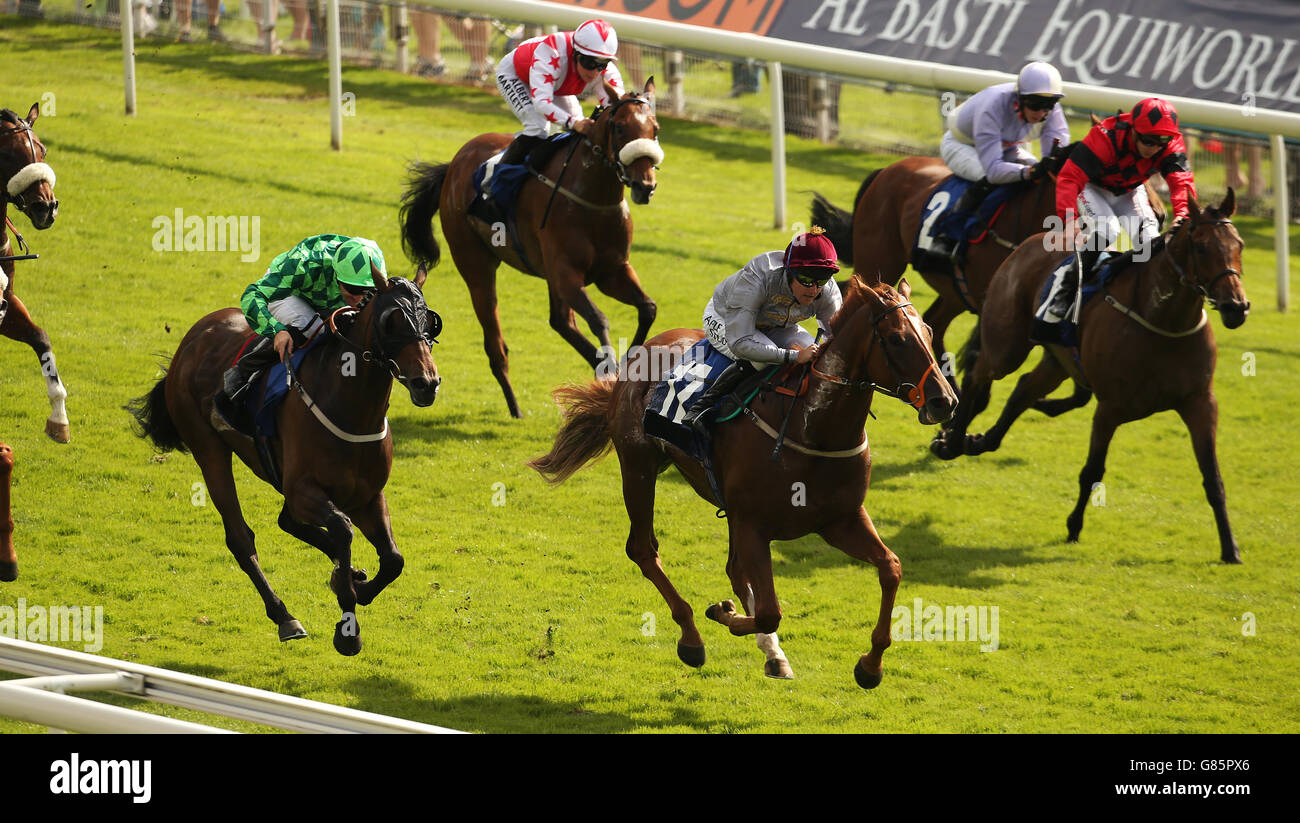 Les courses de chevaux - John Smith's Cup - Premier jour - Hippodrome de York Banque D'Images
