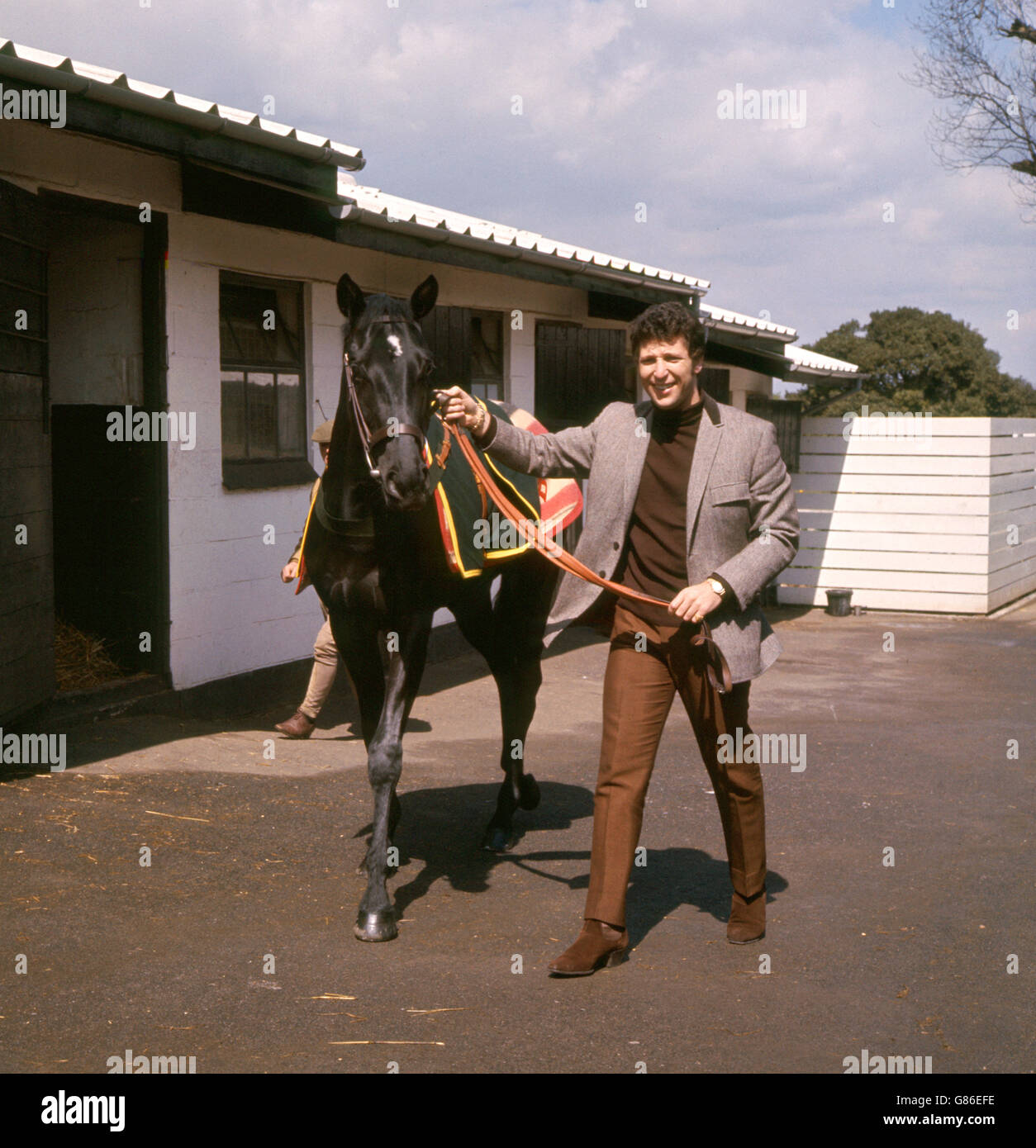 Le chanteur gallois Tom Jones avec le cheval de course « Walk on by! » Qu'il vient d'acheter pour une somme non divulguée aux écuries de Brian Swift à Epsom, dans le Surrey. Le cheval de course porte le nom d'une chanson pop de Burt Bacharach, chantée à l'origine par Dionne Warwick. Banque D'Images