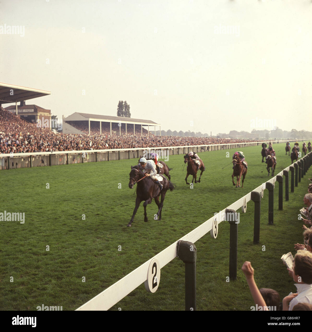 « Hipster » (Jimmy Lindley vers le haut) gagnant le handicap Melrose de la roue droite (G. Moore UP) aux courses de York. Le troisième était Monte Carlo (D. Smith vers le haut). Banque D'Images