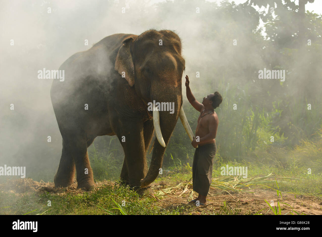 L'homme éléphant avec son cornac, Thaïlande Banque D'Images