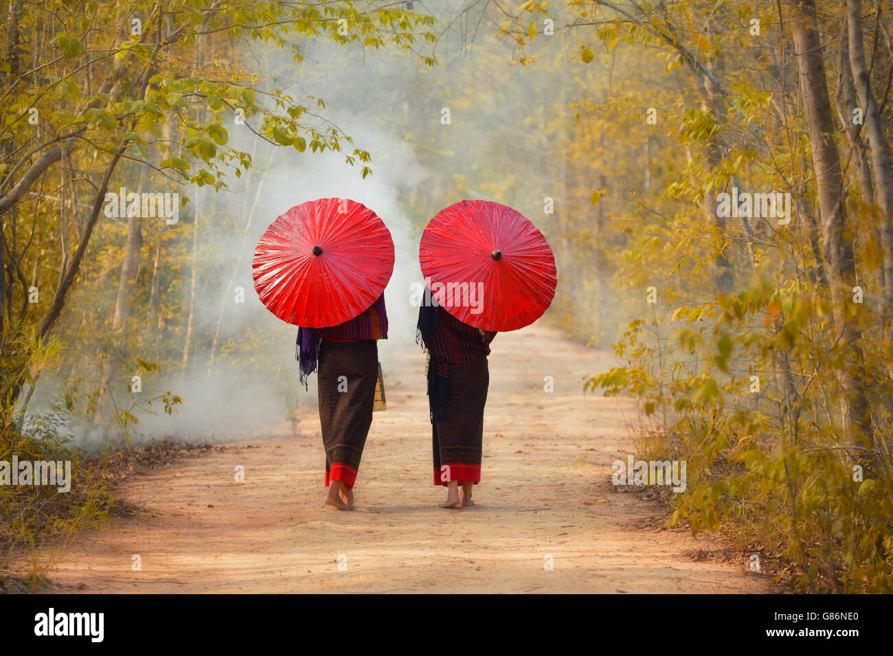 Vue arrière de deux femmes marchant à travers la forêt, Thaïlande Banque D'Images