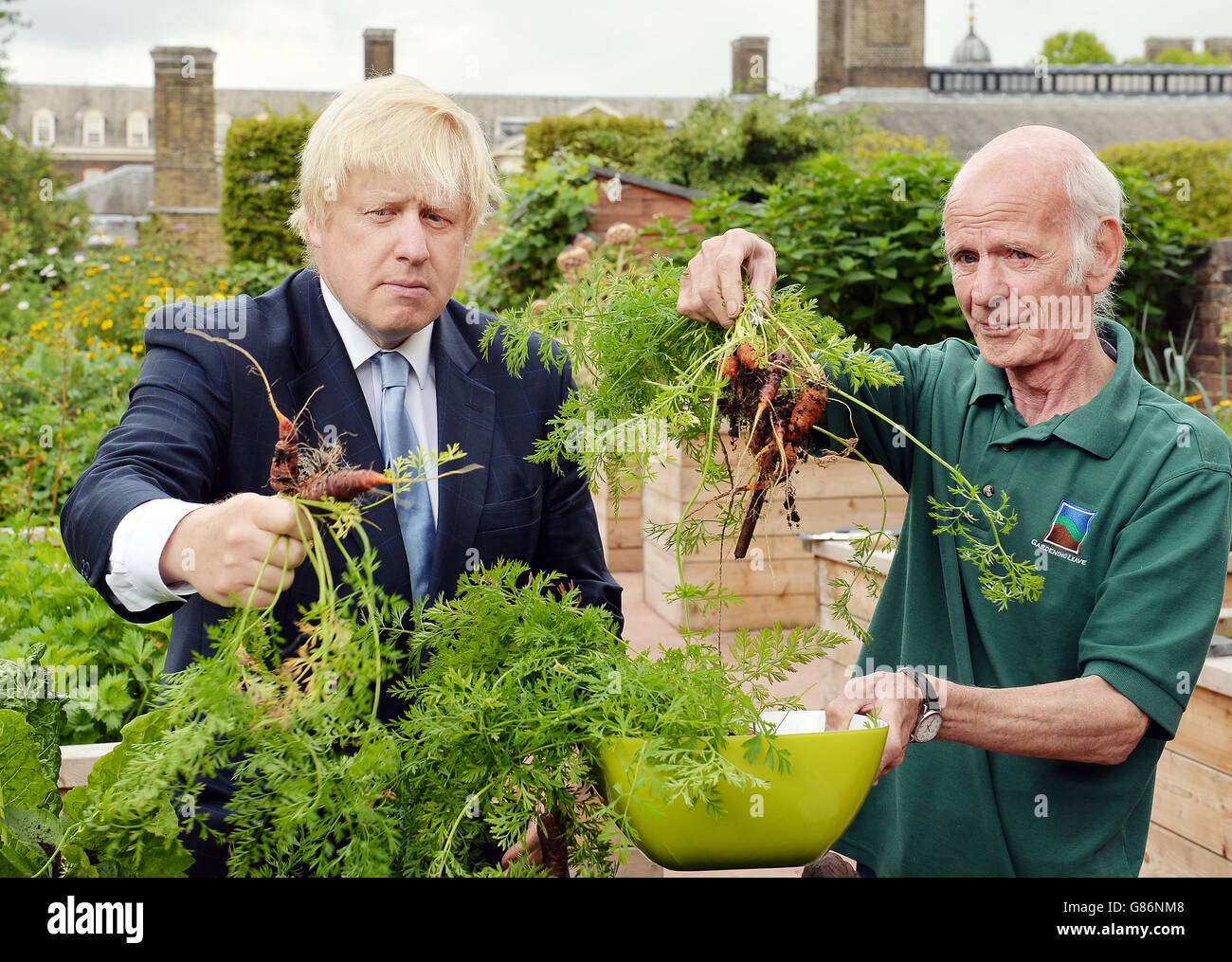 Le maire de Londres Boris Johnson (à gauche) et le volontaire Danny (nom de famille non donné) récoltent des carottes à l'hôpital Royal Chelsea à Londres, car ils prennent part à la thérapie horticole dirigée par la charité Gardening Leave, qui aide les anciens militaires de service à se remettre des cicatrices invisibles du conflit. Banque D'Images