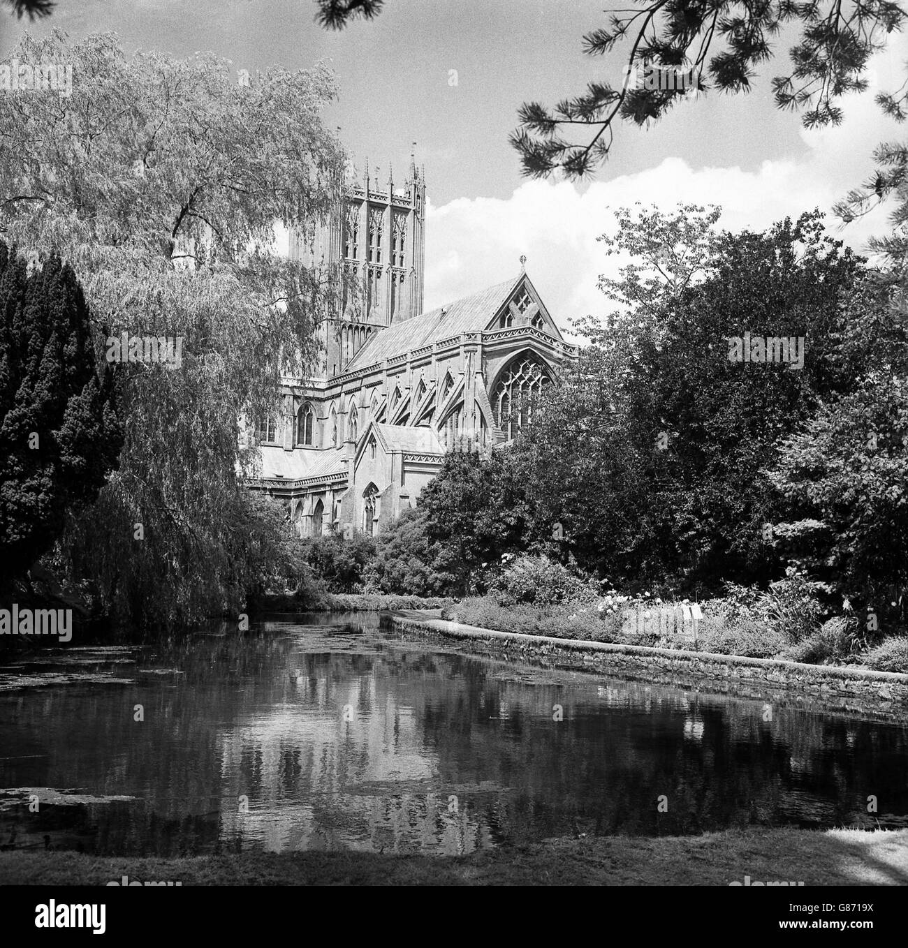 Bâtiments et monuments - Cathédrale de Wells - Somerset.Vue sur la cathédrale de Wells depuis le parc du palais de l'évêque. Banque D'Images