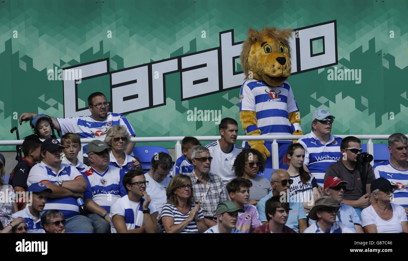 Football - Championnat de pari de ciel - lecture v Milton Keynes dons - Madejski Stadium.Les fans s'assoient au soleil pendant le match entre Reading et MK Dons Banque D'Images