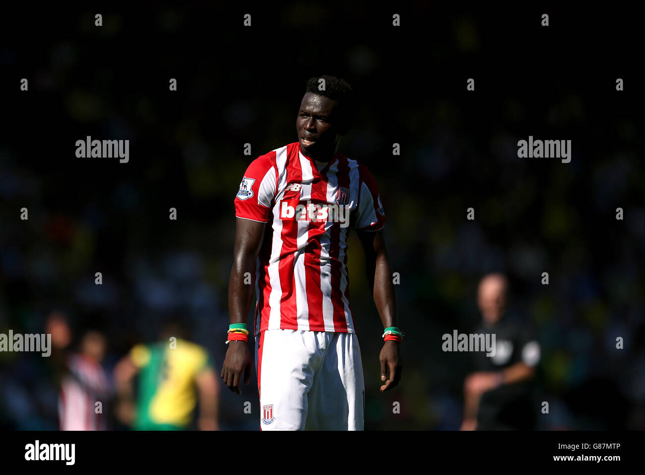 Football - Barclays Premier League - Norwich City / Stoke City - Carrow Road. Mame Biram Diouf, Stoke City Banque D'Images