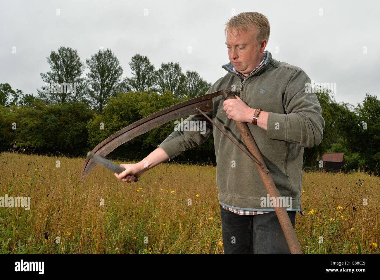 Tom Normandale, chargé de projet de Cornfield Flowers, aiguise son cythe avant de récolter la taille haute de graines de fleurs sauvages rares au Ryedale Folk Museum, Hutton le Hole, North Yorkshire. Banque D'Images