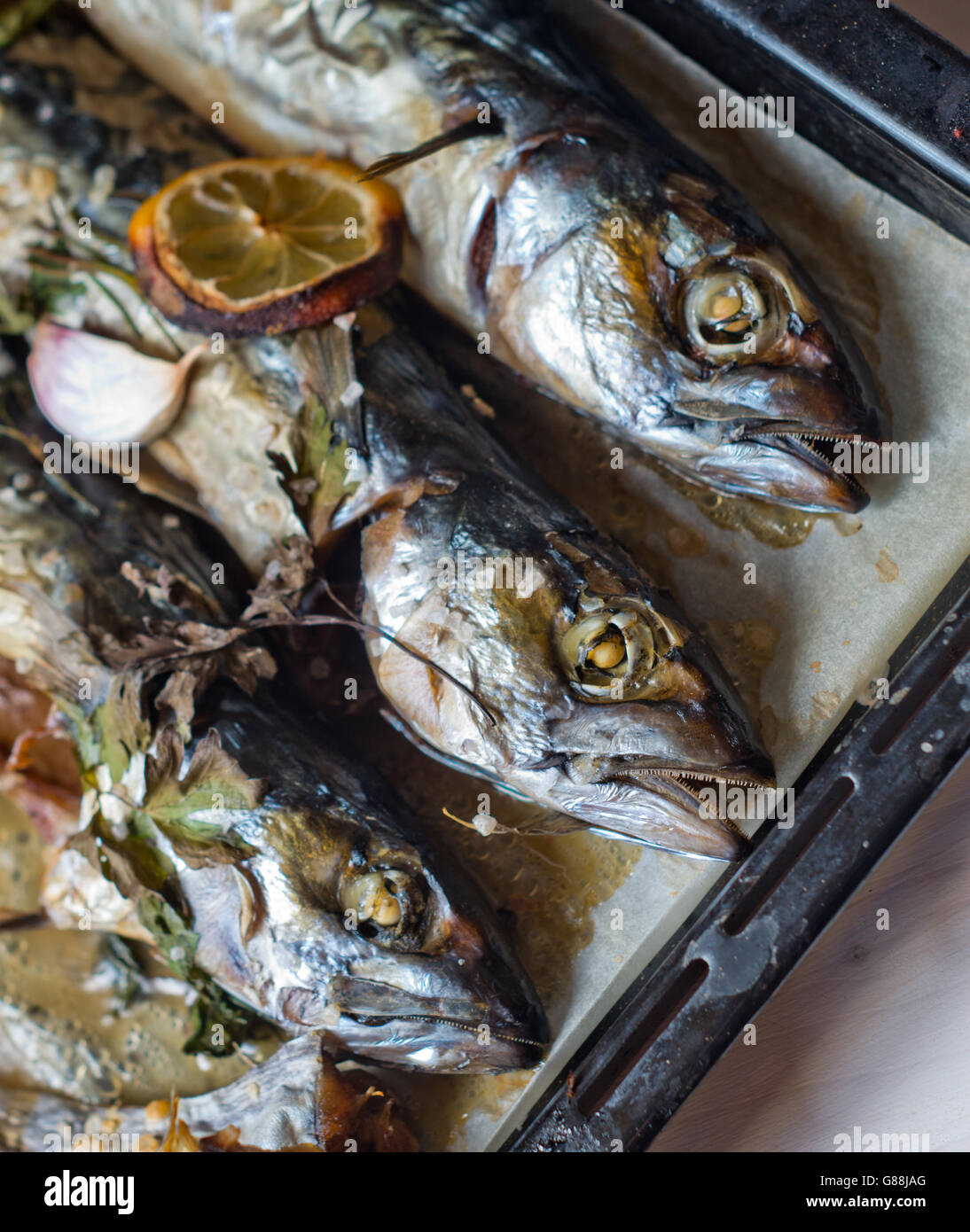 Excellent poisson bleu frais pour une alimentation saine fraîchement cuisinés avec de l'huile d'olive, citron et herbes Banque D'Images