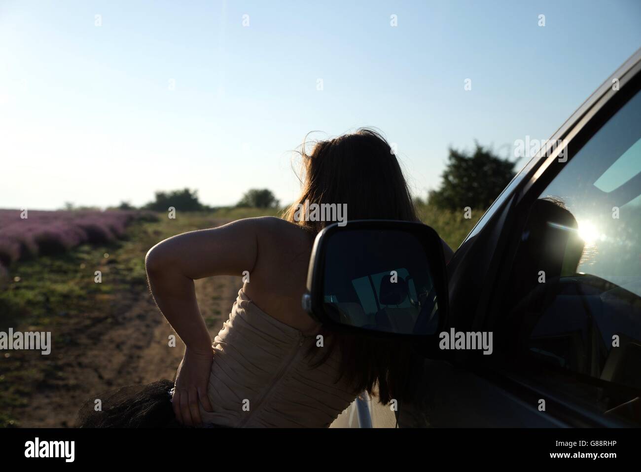 Woman leaning on une voiture par champ de lavande, Bulgarie Banque D'Images