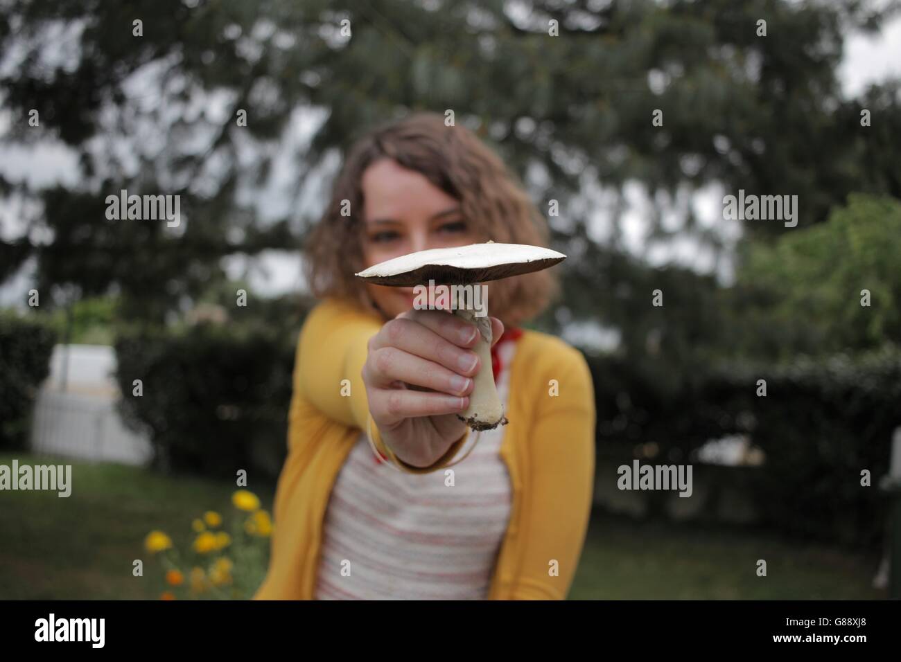 Femme tenant dans sa main de champignons Banque D'Images