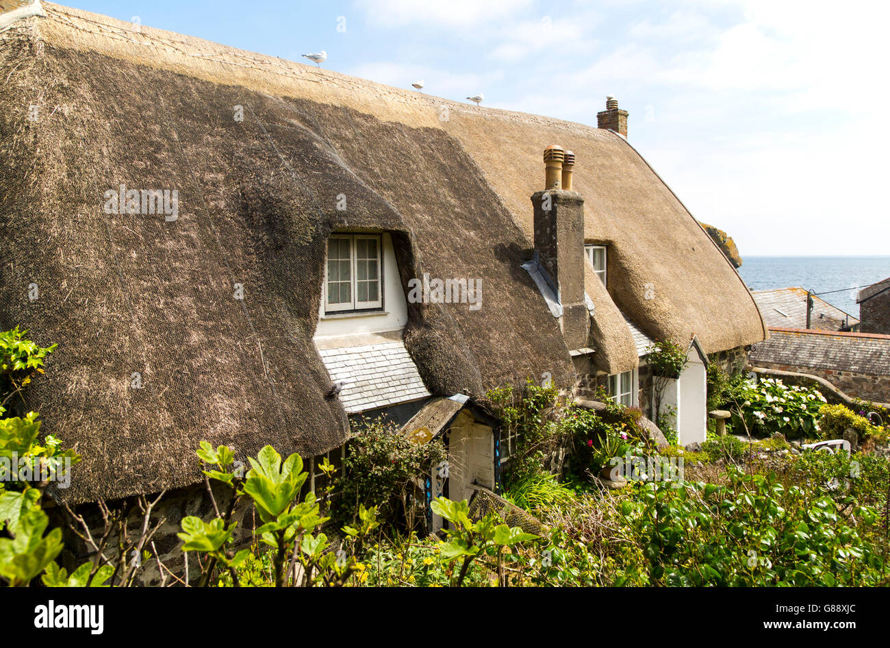 Jolies chaumières historique, Cadgwith, péninsule du Lézard, Cornwall, England, UK Banque D'Images
