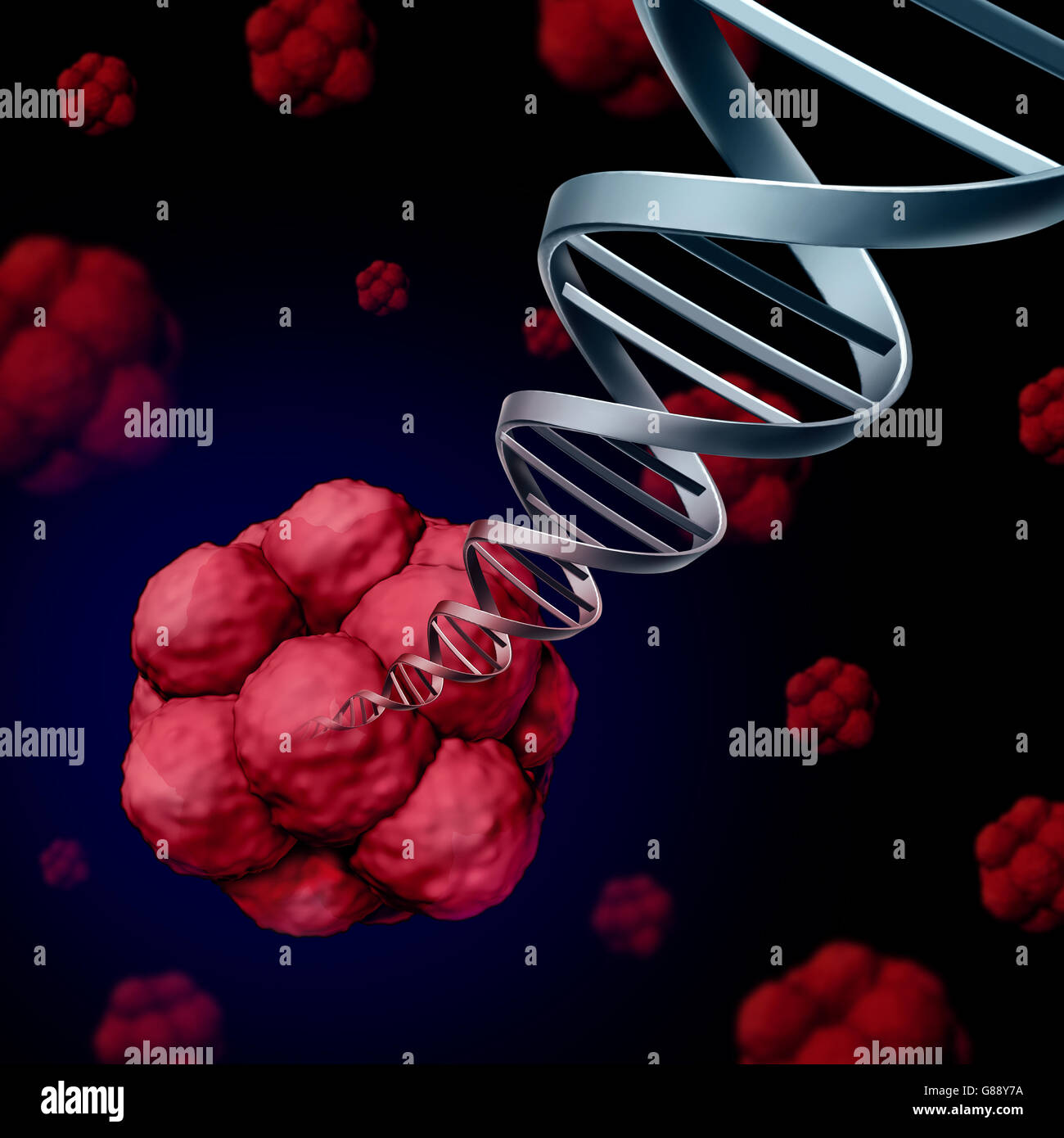 L'ADN de cellules souches ou la génétique stemcell concept comme illustration tridimensionnelle de cellules qui se divisent par mitose trouvés chez les humains avec une hélice double strand avec les chromosomes émergeant comme une science médicale healthcare research symbole comme un 3D Banque D'Images