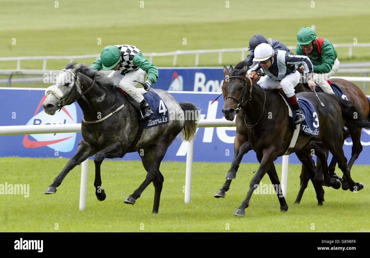 Lot De 5 Tickets D'entrée Hippodromes UK : Curragh 1971, Bath 1975, Thirsk, Newmarket