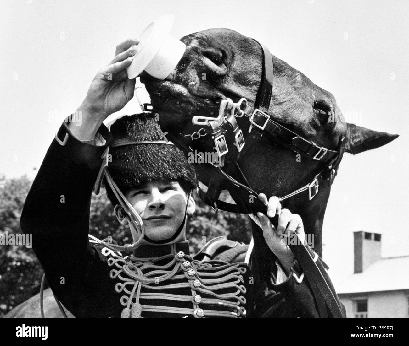 Joe Lacrie, un cheval de 14 ans de la troupe du roi Royal Horse Artillery, boit une tasse donnée par le cavalier Gunner Daniel Calpin à la caserne du Regent's Park, Londres. Banque D'Images