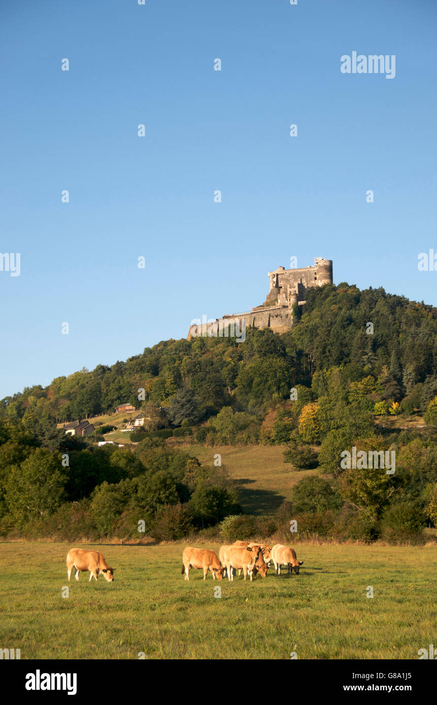 Château de Murol, Auvergne, Puy-de-Dôme, France, Europe Banque D'Images