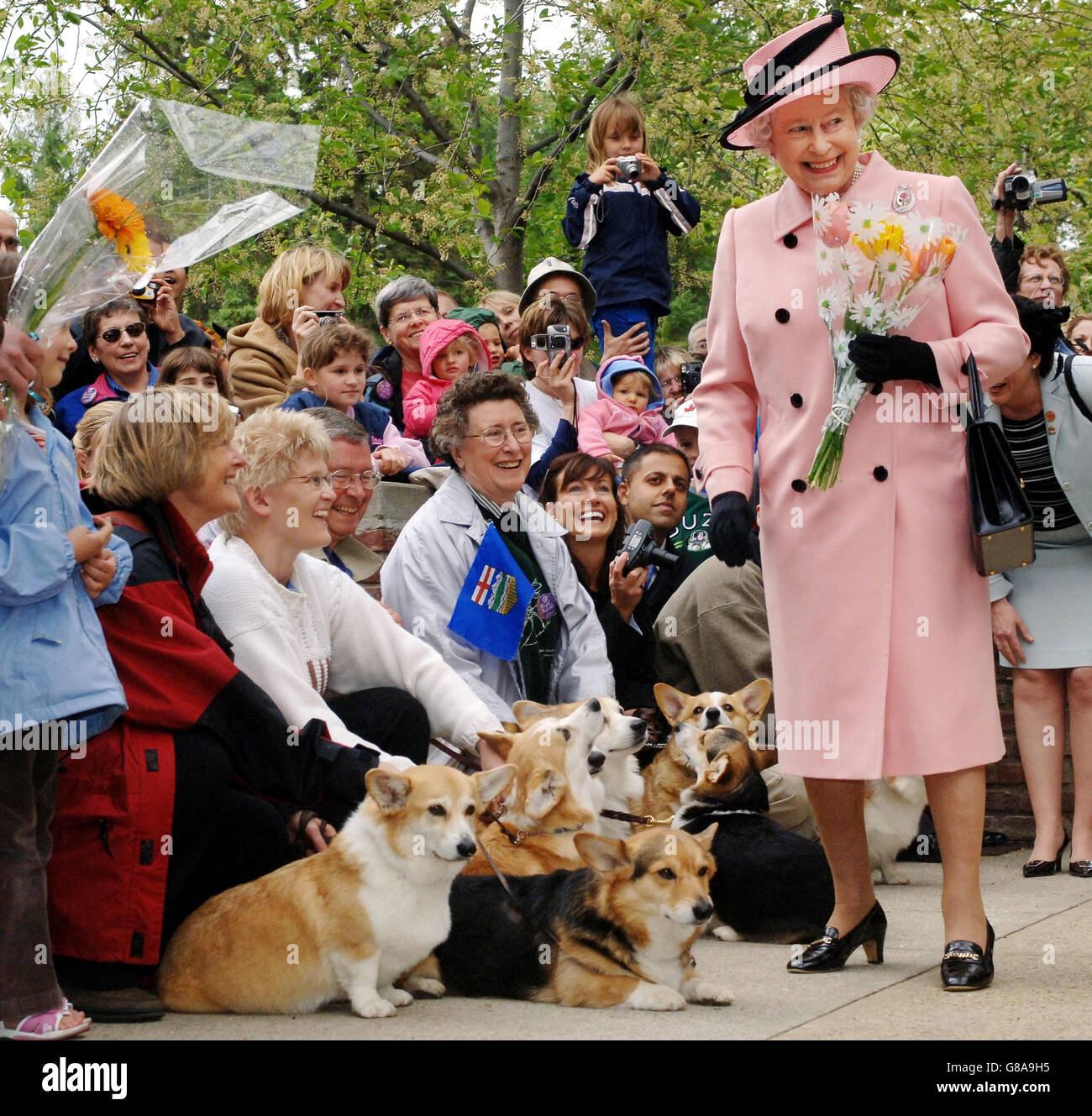 https://c8.alamy.com/compfr/g8a9h5/la-reine-elizabeth-ii-de-grande-bretagne-est-accueillie-par-les-amateurs-de-corgi-locaux-lorsqu-elle-quitte-le-batiment-de-l-assemblee-legislative-g8a9h5.jpg