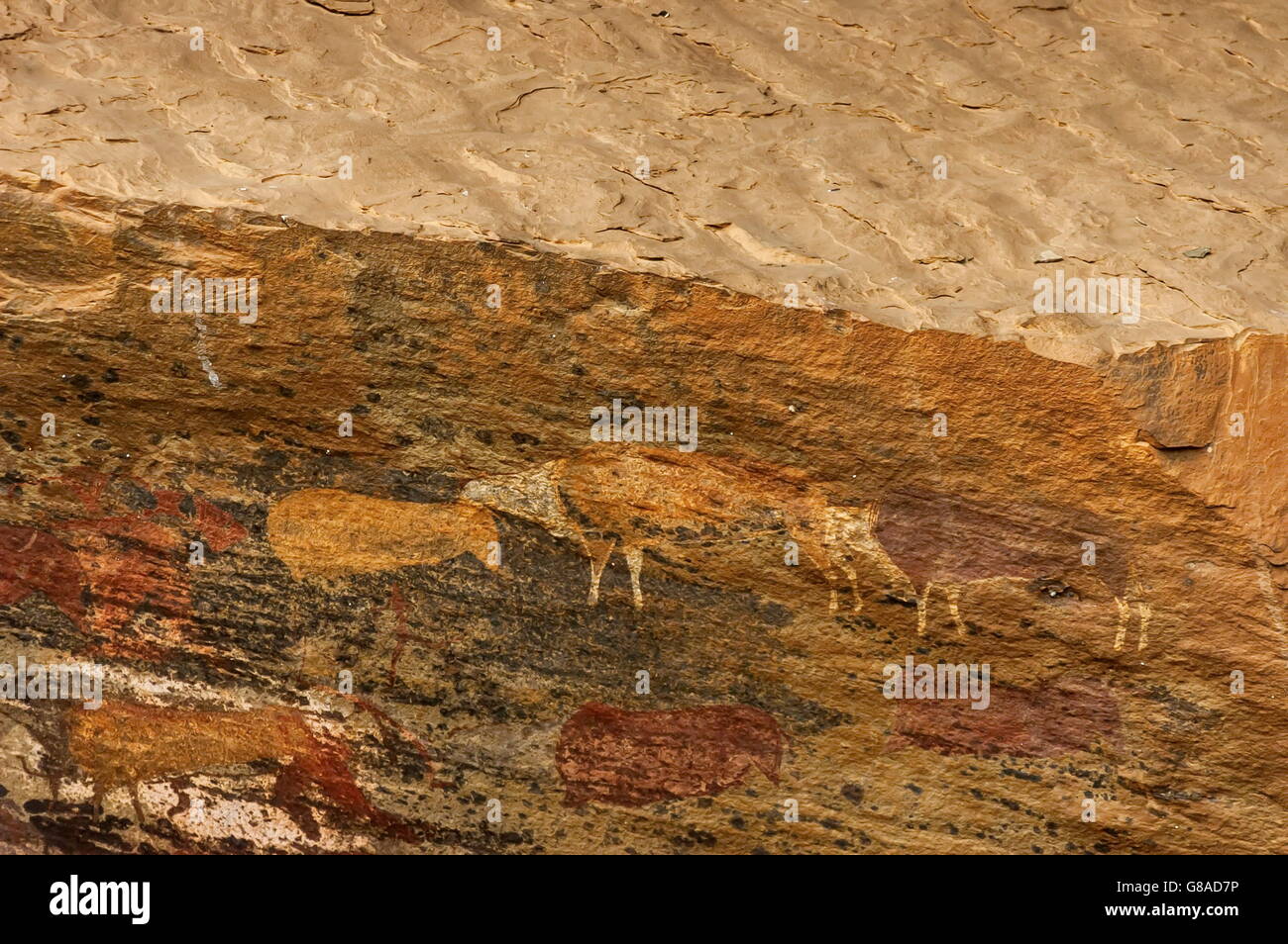 Dessin de roche long passé peuple San (Bushman) dans la cave du château des géants de la réserve naturelle de KwaZulu-Natal, Afrique du Sud Drakensberg Banque D'Images