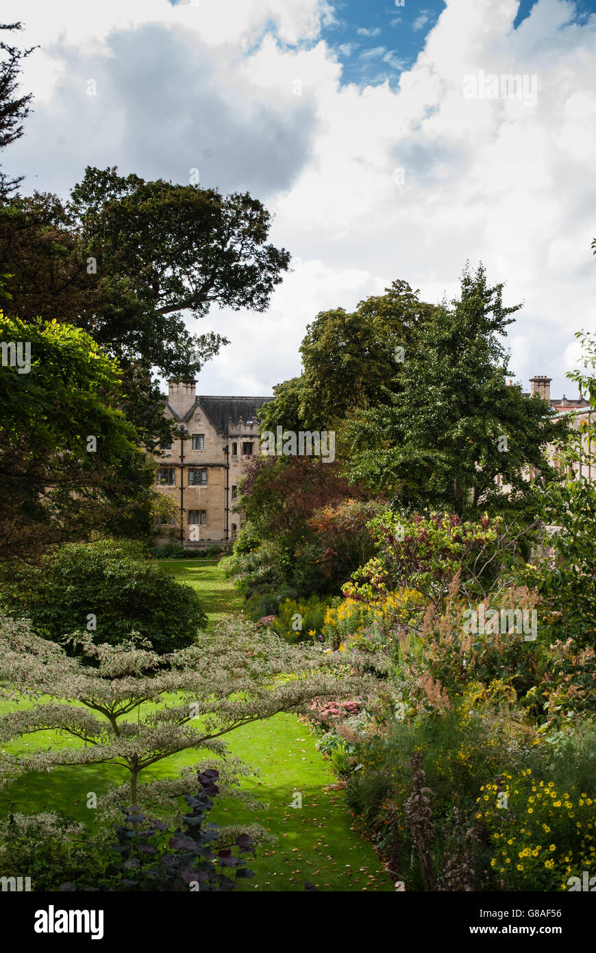 Le jardin d'un des collèges d'Oxford Banque D'Images