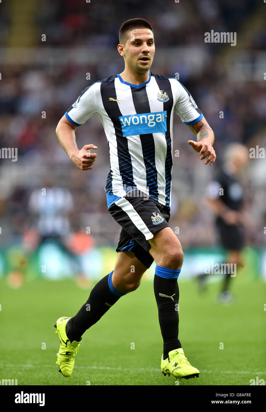 Soccer - Barclays Premier League - Newcastle United / Chelsea - St James' Park.Aleksandar Mitrovic de Newcastle United lors du match de la Barclays Premier League à St James' Park, Newcastle. Banque D'Images