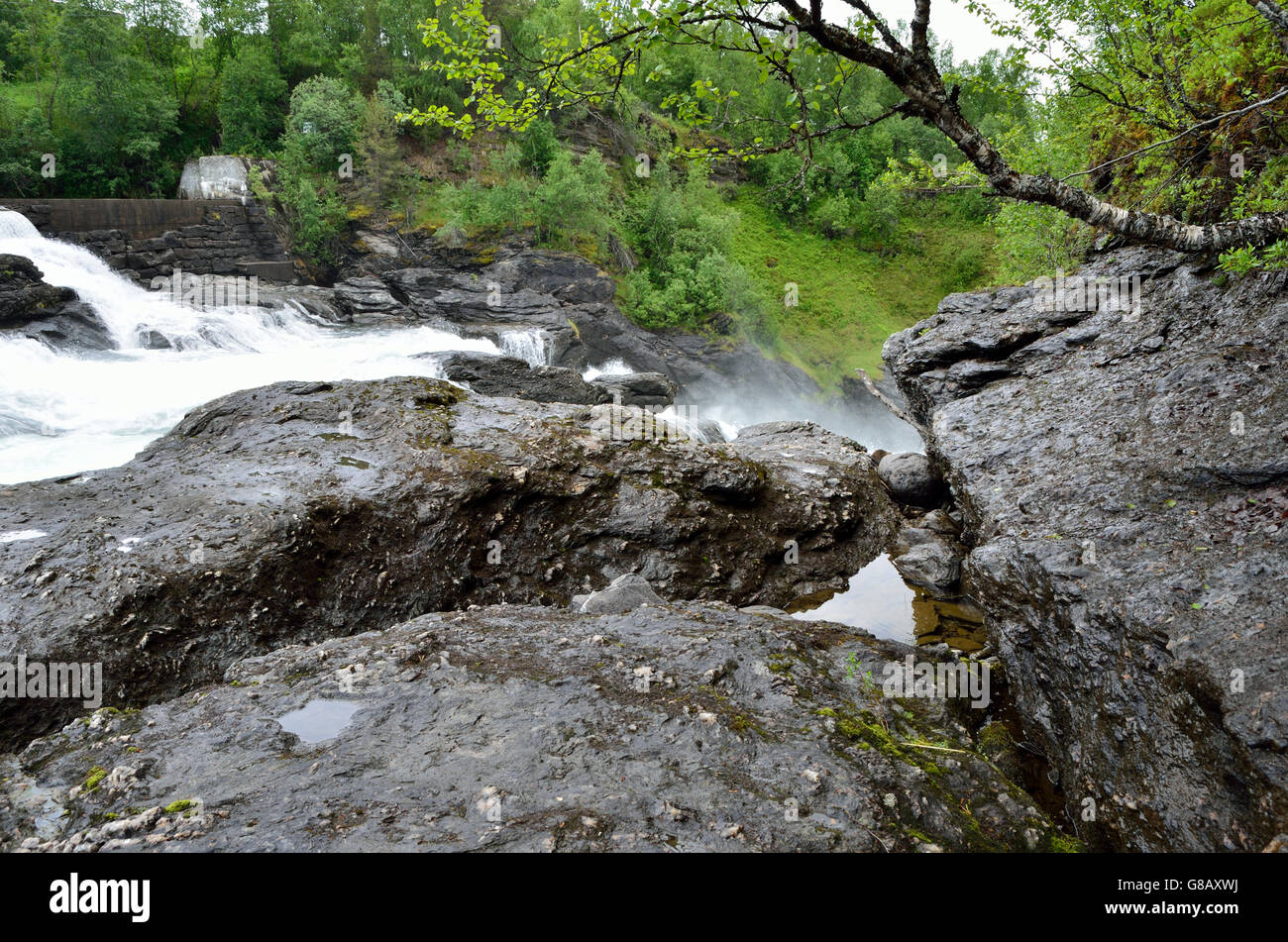 Belle rivière massive et des cascades de débit en été nature Banque D'Images