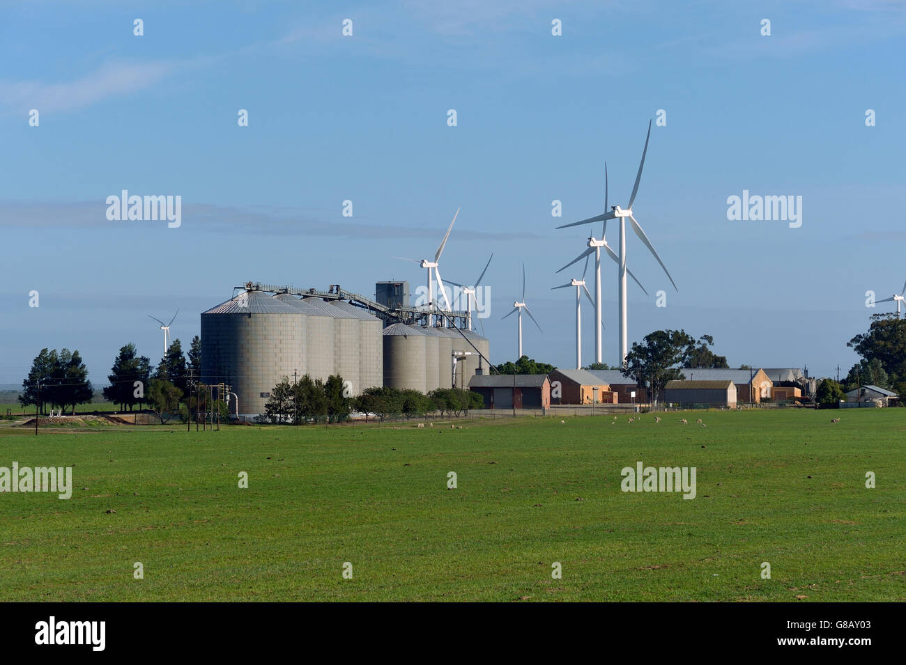 66MW, Hopefield, Saldana, Western Cape, Afrique du Sud Banque D'Images