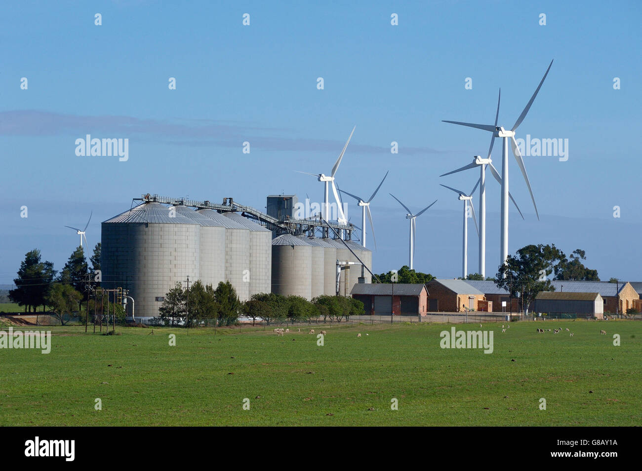 66MW, Hopefield, Saldana, Western Cape, Afrique du Sud Banque D'Images