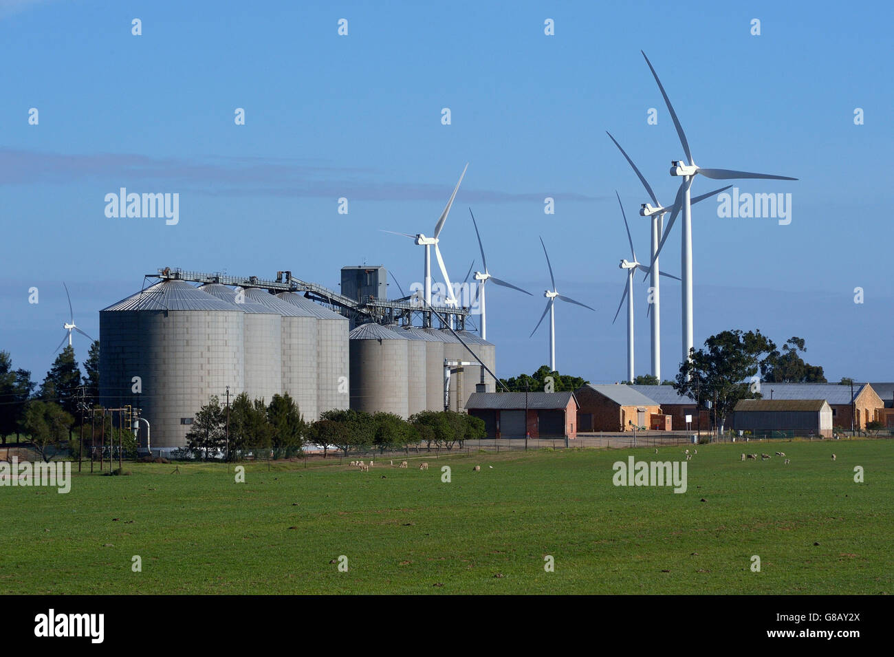 66MW, Hopefield, Saldana, Western Cape, Afrique du Sud Banque D'Images