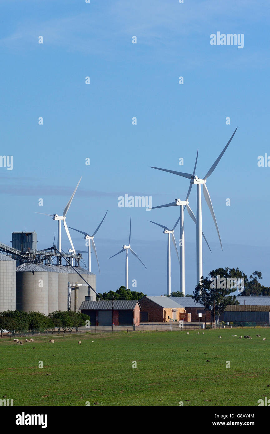 66MW, Hopefield, Saldana, Western Cape, Afrique du Sud Banque D'Images