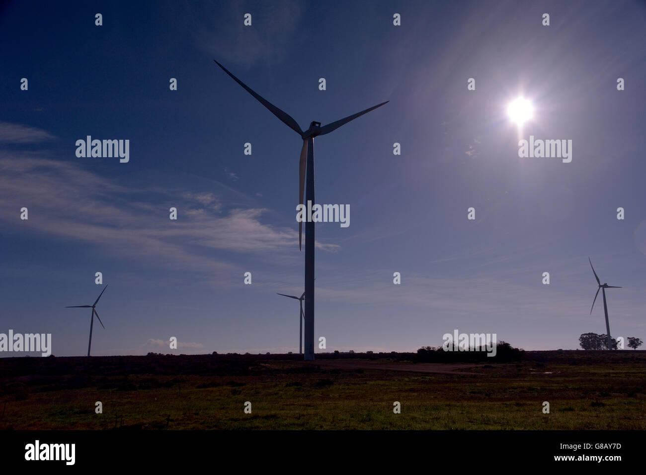 66MW, Hopefield, Saldana, Western Cape, Afrique du Sud Banque D'Images