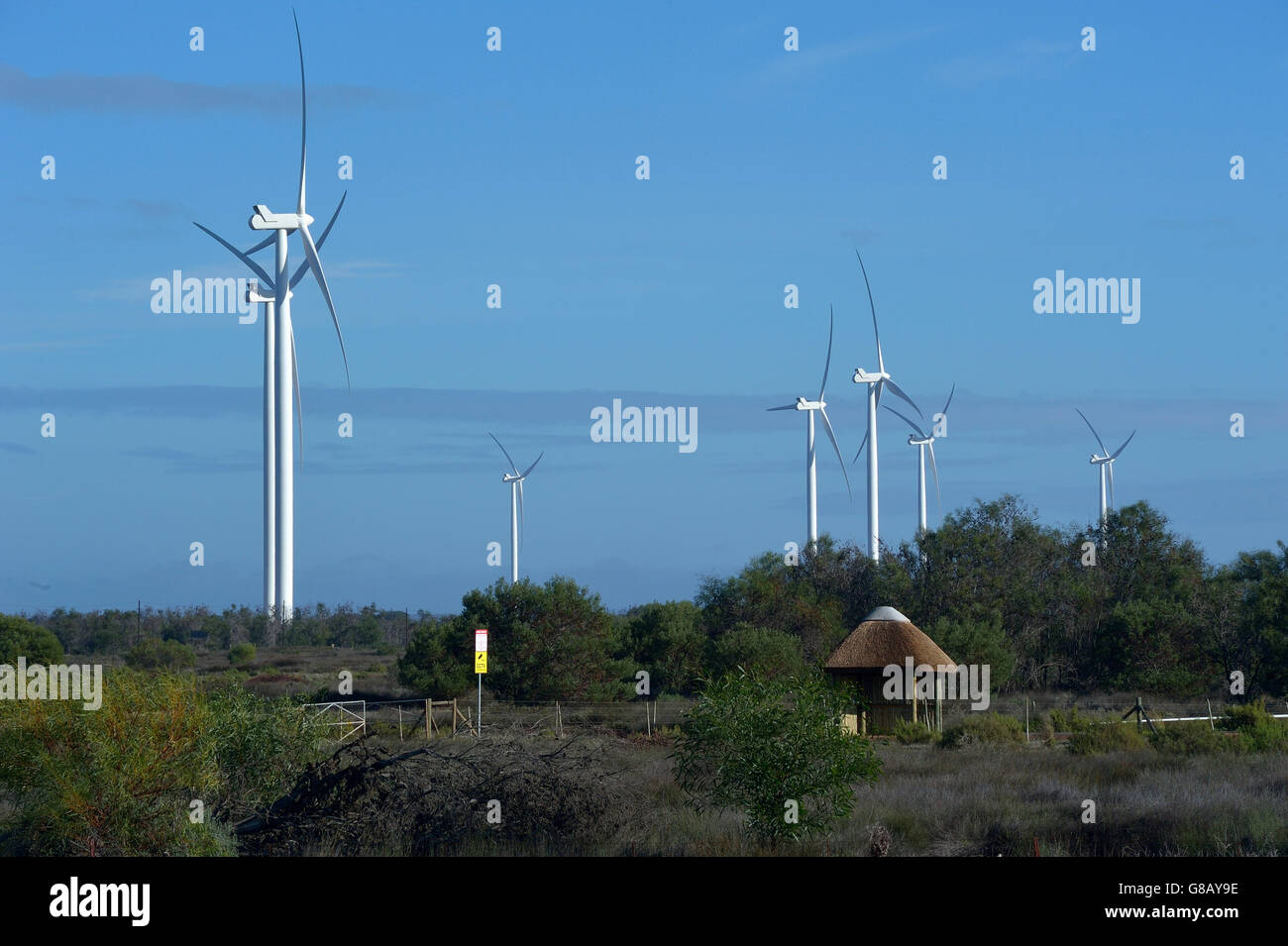 66MW, Hopefield, Saldana, Western Cape, Afrique du Sud Banque D'Images